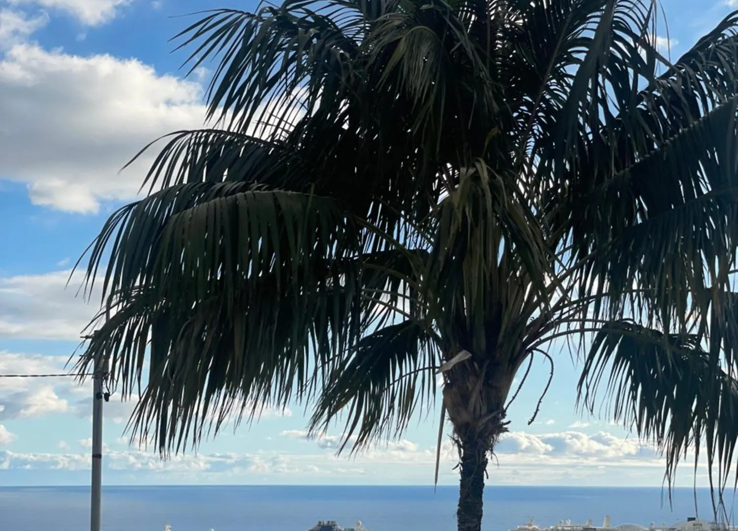 Residencial Pina Guest House Funchal
